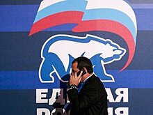 В "Единой России" назвали провокацией ограбление в одежде с логотипом партии