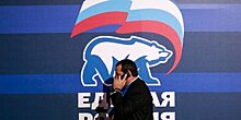 В "Единой России" назвали провокацией ограбление в одежде с логотипом партии