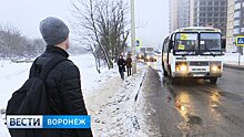 «Город и транспорт» запустил в Воронеже сервис отслеживания маршруток
