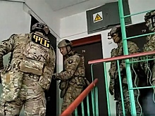 ФСБ задержала иностранцев, вербовавших мигрантов в террористическую организацию