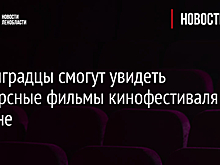 Ленинградцы смогут увидеть конкурсные фильмы кинофестиваля в Гатчине