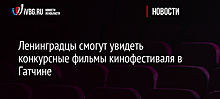 Ленинградцы смогут увидеть конкурсные фильмы кинофестиваля в Гатчине