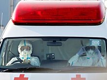Посольство: Японию покинули более 170 россиян