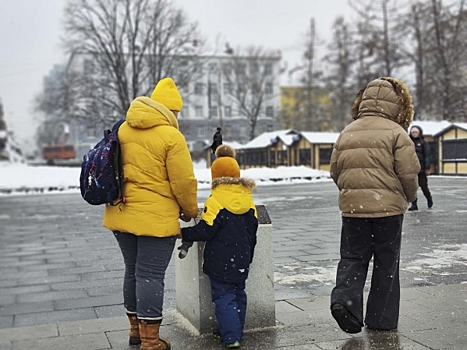 Петербургские депутаты разрешили тратить маткапитал на образование родителей
