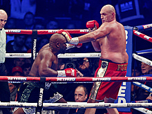 Фьюри в третий раз победил Чисору и защитил титул чемпиона мира по версии WBC