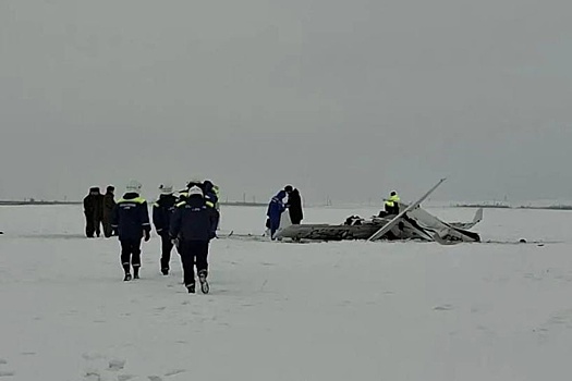 Инструктор и двое курсантов погибли при крушении самолета в Орске