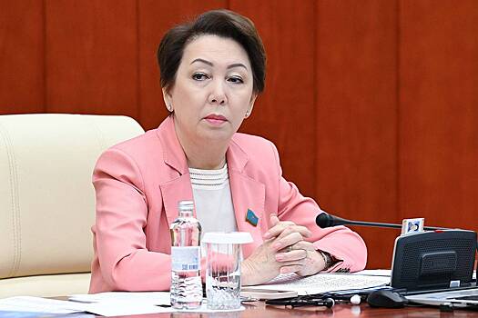 В Казахстане предложили принять новую конституцию