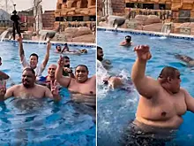 Тигр разогнал фотографирующихся в бассейне туристов - видео