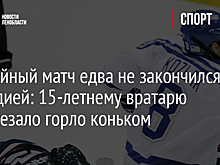 Хоккейный матч едва не закончился трагедией: 15-летнему вратарю перерезало горло коньком