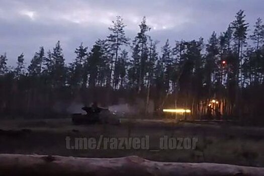 Появилось видео работы БМПТ «Терминатор» в лесу под Кременной