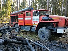 В Подмосковье ликвидировали восемь лесных пожаров за последние дни сентября