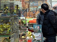 Товарооборот России с Китаем может превысить 80 миллиардов долларов