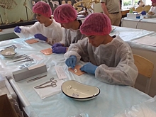 Учитель физики из Володарска победила в конкурсе «Мичуринский учитель»