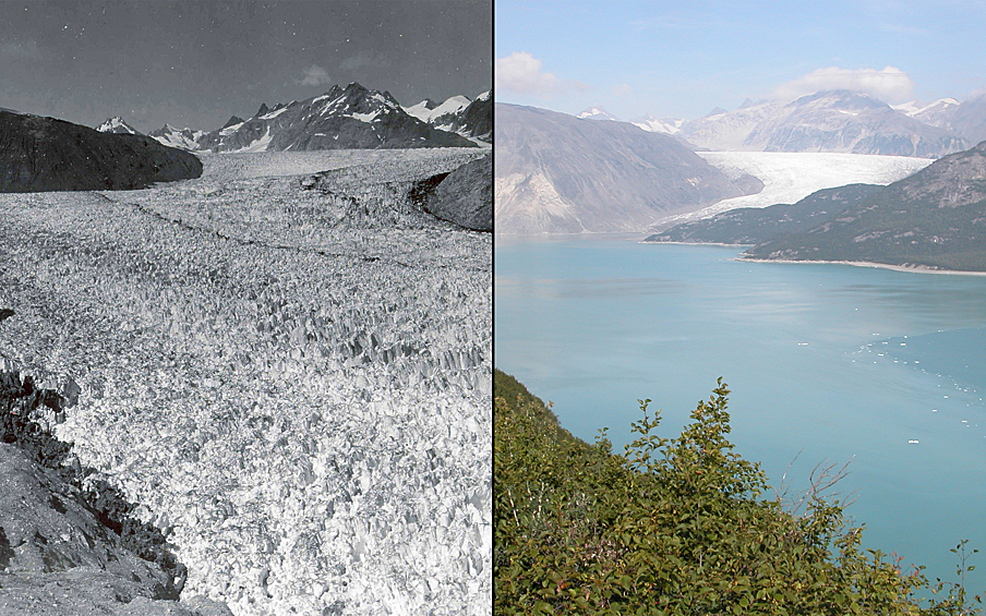 Ледник Мьюра (Аляска) в 1941 и 2004 году.