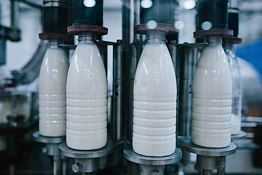 Предприятие по переработке молока появится в Уфе