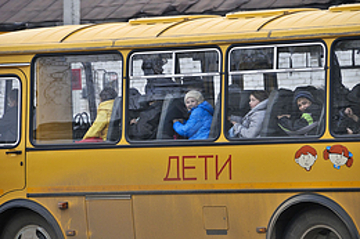 Число ДТП с автобусами в Свердловской области сократилось на 30%