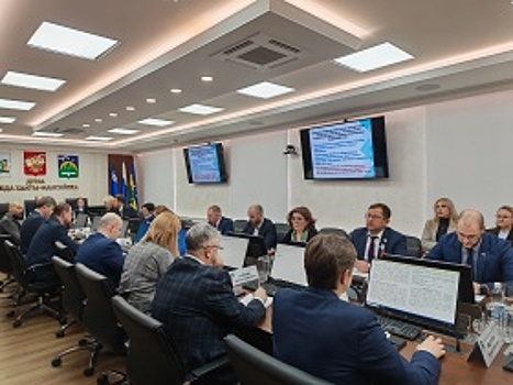 Совместная комиссия городской Думы провела заседание, посвященное анализу результатов работы за 2025 год