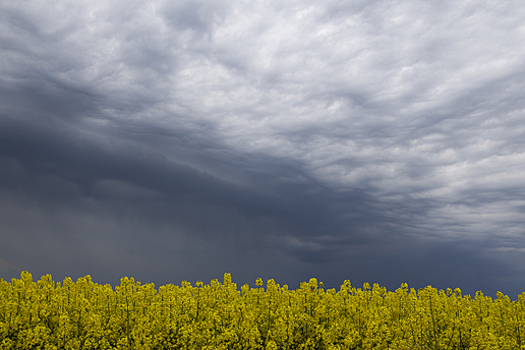 Синоптик Пулин: грозовая активность 23 июня пройдёт по южной половине Среднего Урала