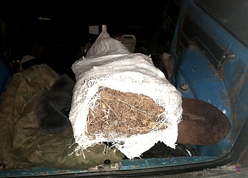 В Волгоградской области задержали водителя с марихуаной