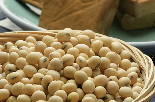 Китай будет субсидировать производителей кукурузы и сои на севере страны