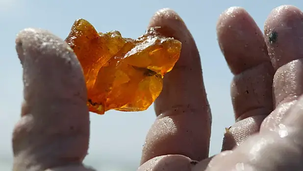 В Калининграде добыли янтарный самородок весом более двух килограммов