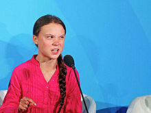 В протестах Греты Тунберг заподозрили "российский след"