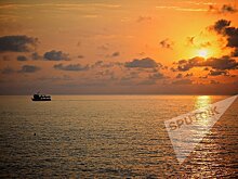 Кофе, море, мандарины