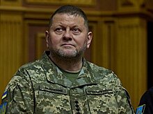 Во Франции раскритиковали фотографию главкома ВСУ на фоне Бандеры