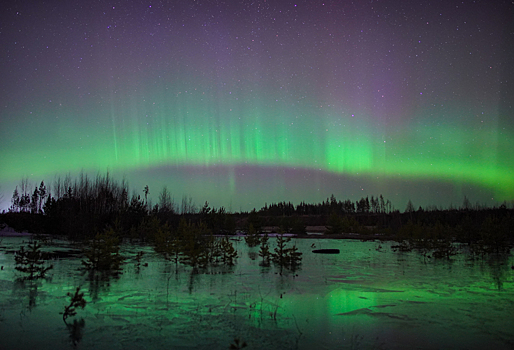 Оценена вероятность северного сияния в Москве в новогоднюю ночь