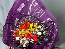 Atomic Heart получила коллекцию цветов с букетами из кабелей