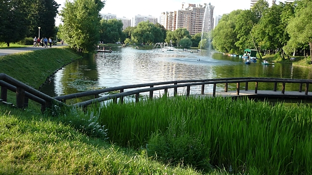 В Москве до конца года создадут 50 новых парков