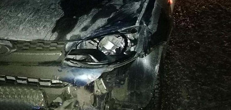 44-летний мужчина погиб на трассе в Удмуртии