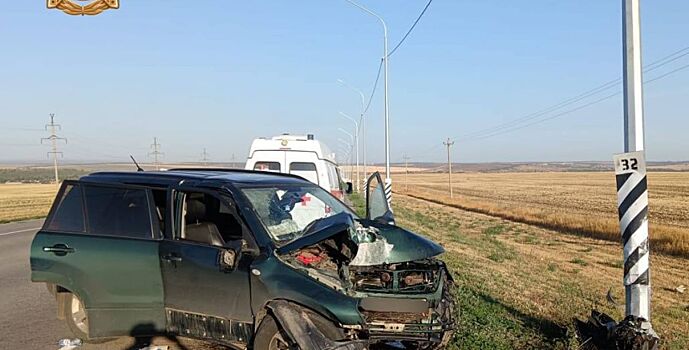 Двое детей погибли в ДТП в Ростовской области