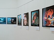 Приподнять кромку воды. В Дарвиновском музее проходит фестиваль подводной фотографии