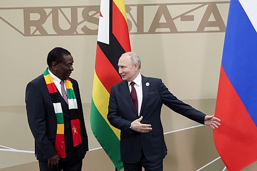 Зернин - о самых перспективных странах Африки для экспорта зерна из РФ