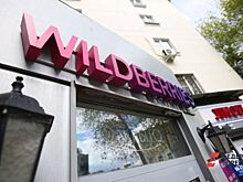 Тюменские власти раскрыли место строительства центра Wildberries за 11 млрд
