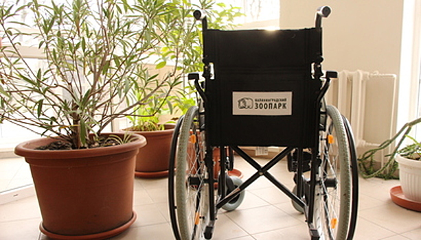 В Калининградском зоопарке открыли бесплатный прокат инвалидных колясок для посетителей