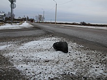 В Красноборском районе самосвал насмерть сбил пешехода