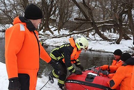 Свыше 46 тыс спасателей подготовили для предотвращения паводков в Подмосковье
