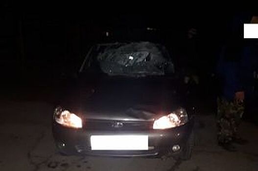 Пьяный гонщик сбил двух школьников в селе на Ставрополье