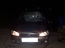 Пьяный гонщик сбил двух школьников в селе на Ставрополье