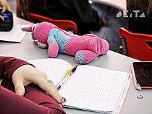 Бастрыкину напомнили об уголовном деле о насилии подростков над второклассницей в Приморье