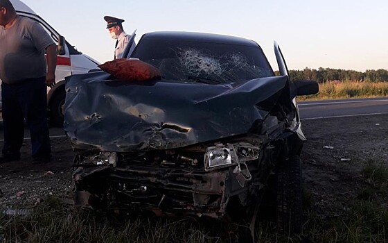 В ДТП под Рязанью пострадали пять человек