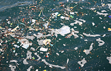 ООН запустила кампанию по борьбе с морским мусором