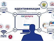 В Госдуме обеспокоены мошенничествами с кредитами на «Госуслугах»