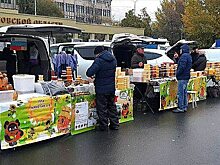 На ярмарке на Театральной площади в Саратове выросло количество торговых мест