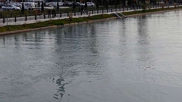 В Ташкенте в канале утонули россиянка и ее пятилетний сын