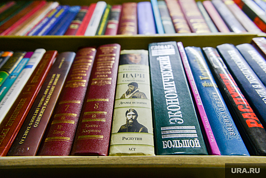 Курганские власти заставят мэров рассчитывать риски при ликвидации библиотек