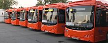 В Ростове с 2021 года отменят 5 автобусных маршрутов