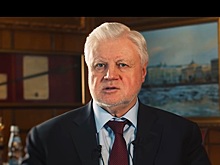 Лидер эсэров взбунтовался против политики Эльвиры Набиуллиной